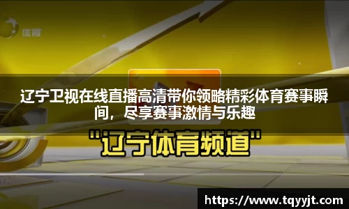 辽宁卫视在线直播高清带你领略精彩体育赛事瞬间，尽享赛事激情与乐趣