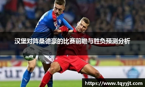 汉堡对阵桑德豪的比赛前瞻与胜负预测分析